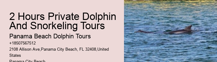Do Dolphins Like To Play With Humans