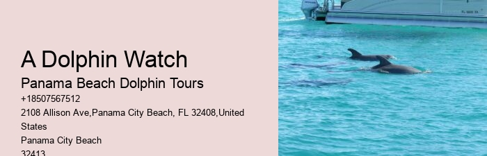 Are Dolphin Shows Ethical