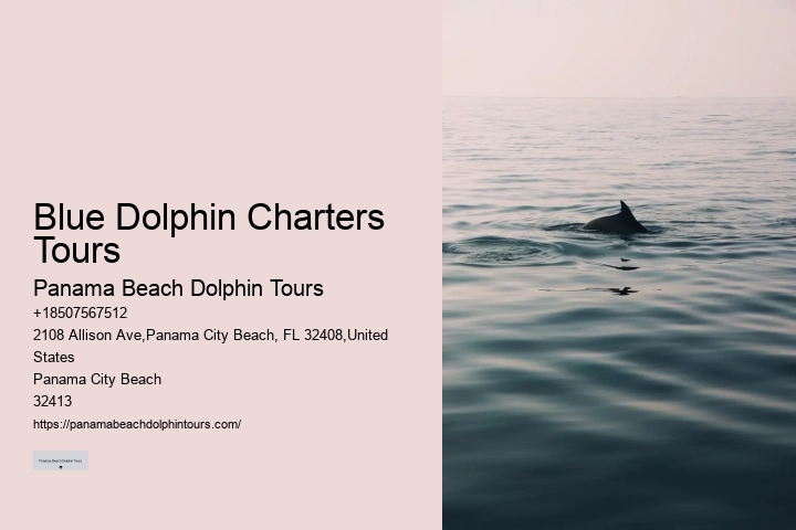 What Is The Difference Between Dolphin Swim And Dolphin Encounter