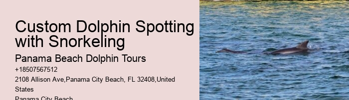 Split Charter Dolphin And Snorkeling Tours Cost