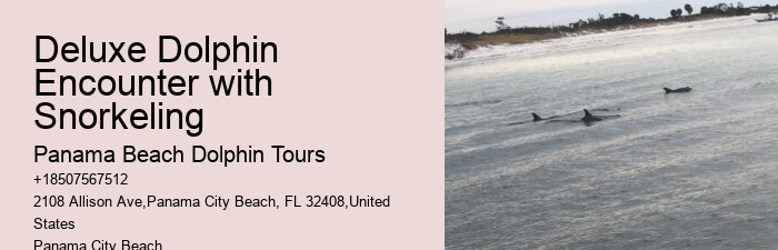 What is the refund policy if I'm not satisfied with the dolphin tour