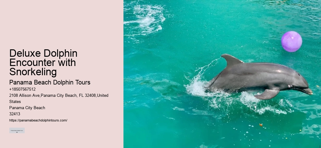 Swim Adventure Experience