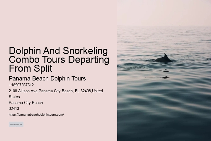 Individual Dolphin Encounter and Snorkeling Tours