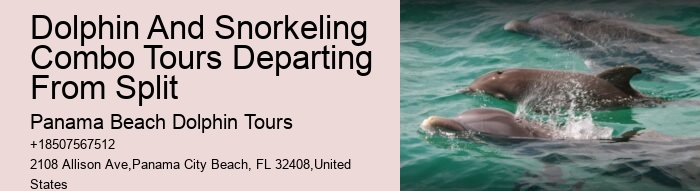 Custom Dolphin Encounter and Snorkeling