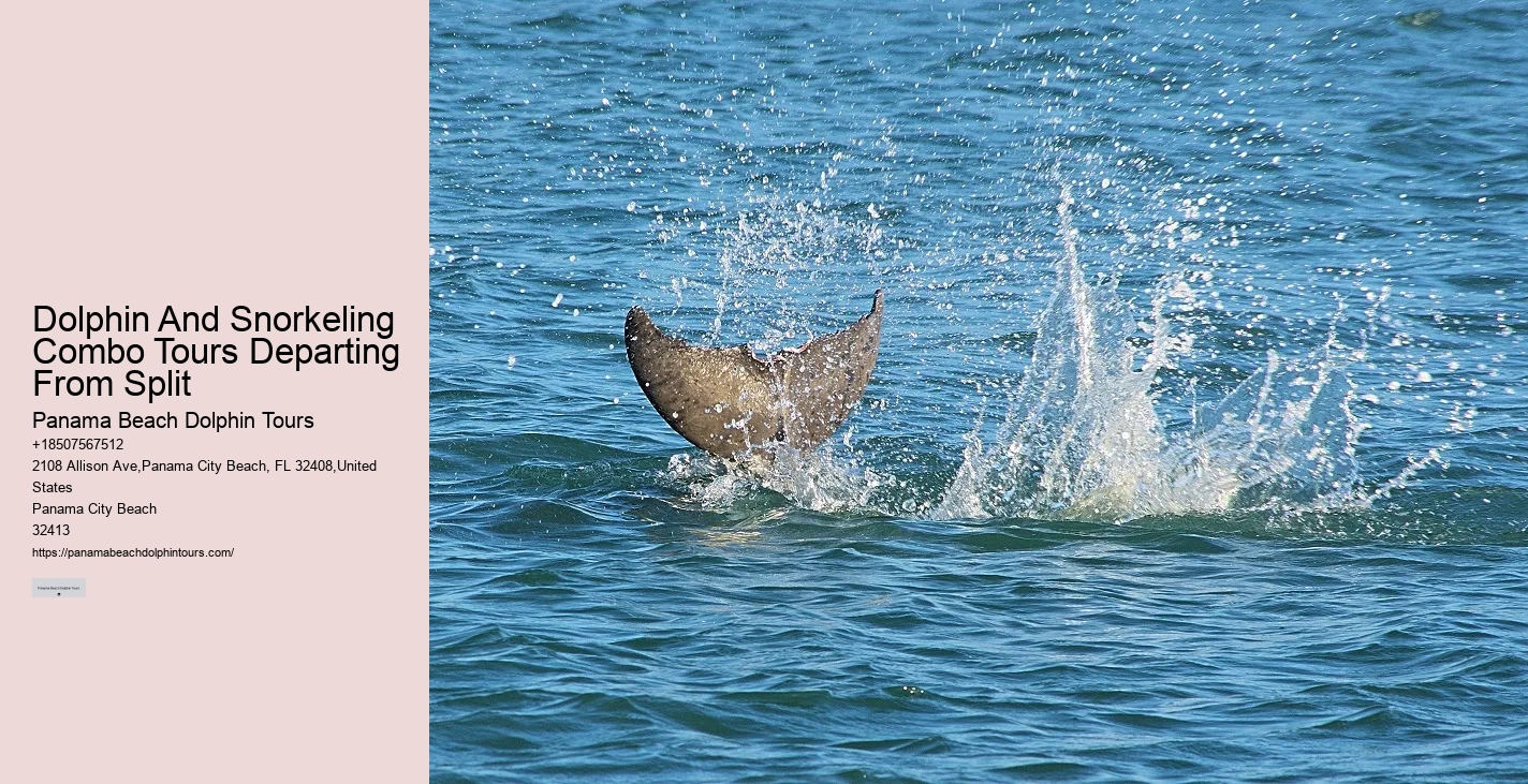 Are there any discounts available for group bookings on dolphin tours in Panama City Beach