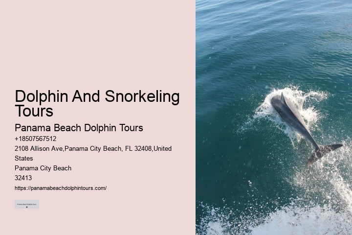 Panama City Beach Dolphin Adventure Cruises