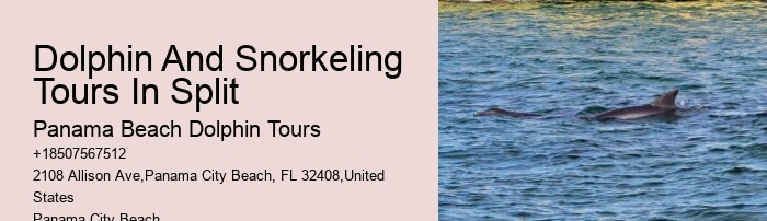All About Bottlenose Dolphins - Birth & Care Of Young