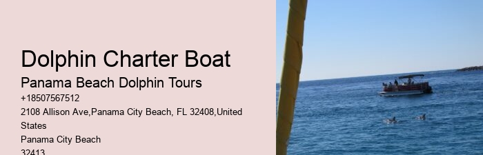 Can I touch the dolphins during the tour