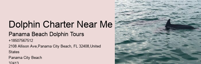 Panama City Beach Dolphin Tours Panama City Beach
