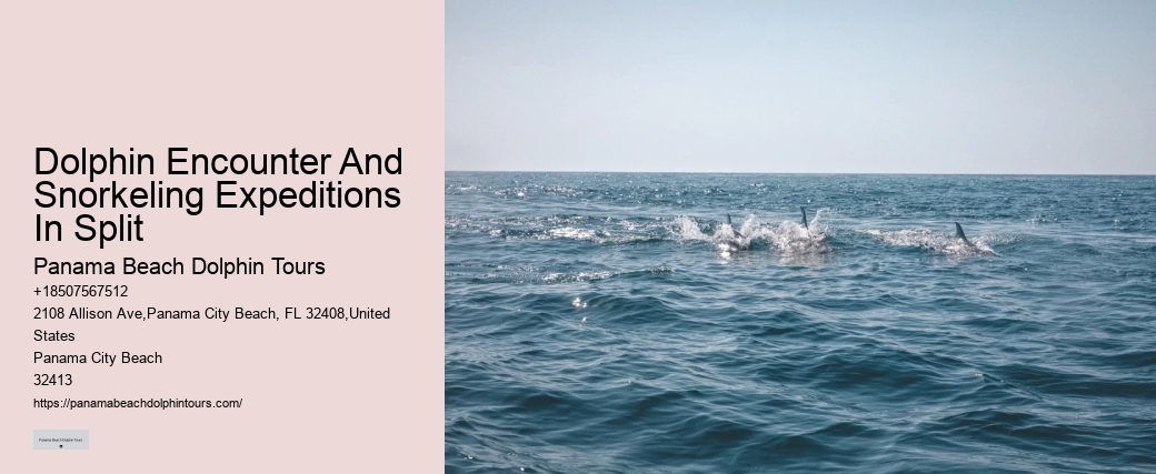 Coastal weather patterns
