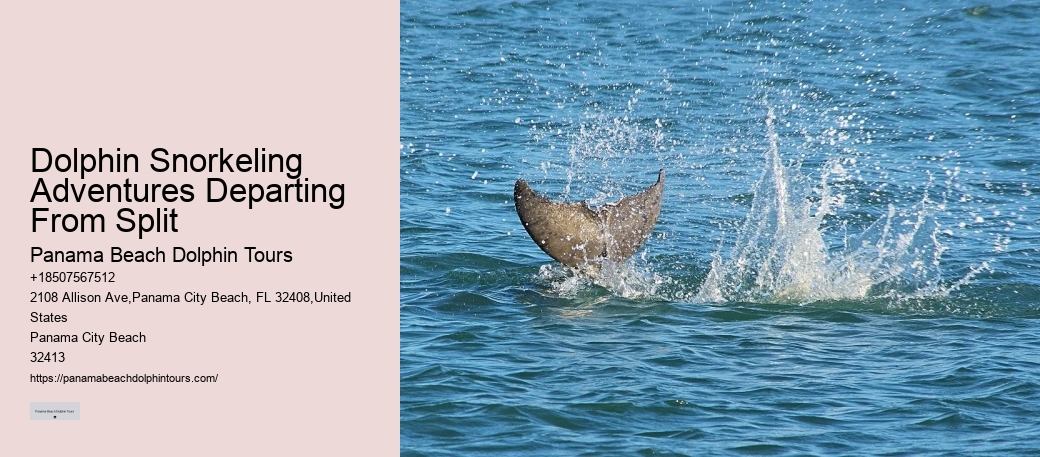 Fishing charters