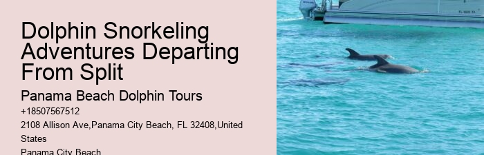 Dolphin Watching Split