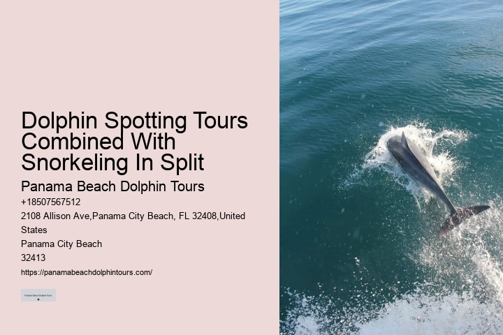 Panama City Beach Dolphin Tours