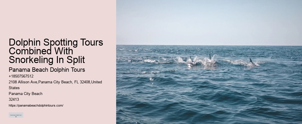 How Do You Attract Dolphins