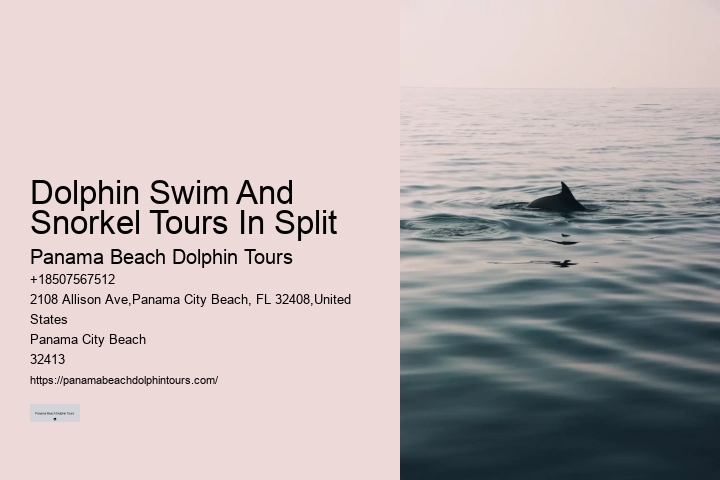 What Do You Wear To Swim With Dolphins