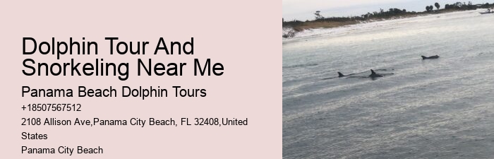 Do I need to bring my own snorkeling gear for a dolphin tour in Panama City Beach