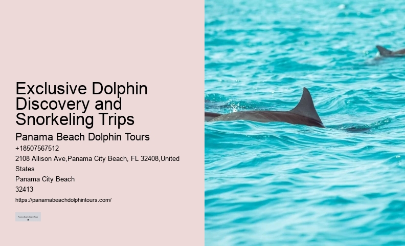 Split Budget-friendly Dolphin Snorkeling Excursions