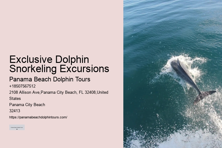 Secluded Dolphin Encounter and Snorkeling Trips