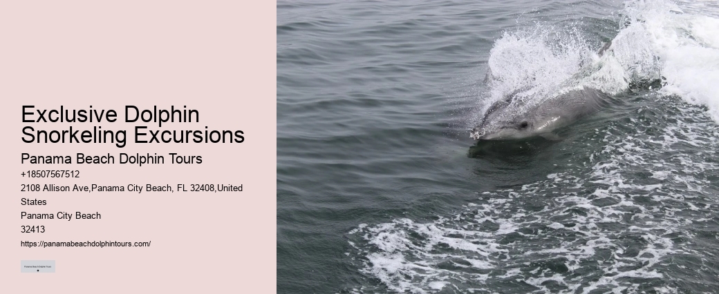Can I swim with dolphins on a tour in Panama City Beach