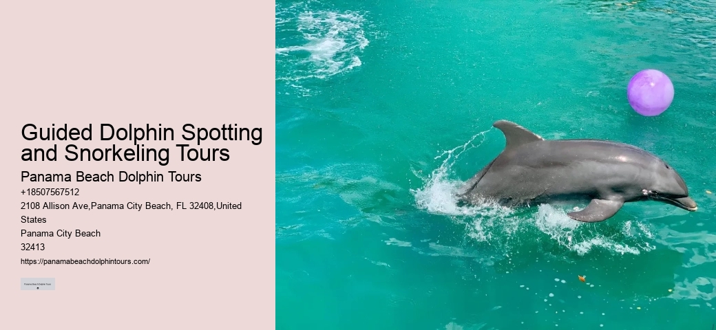 Are Panama City Beach dolphin tours wheelchair accessible