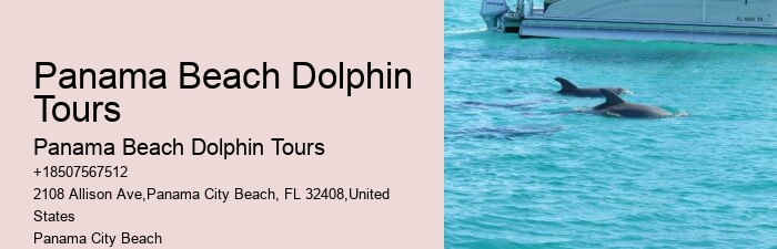 Cheap Dolphin Tours In Panama City Beach