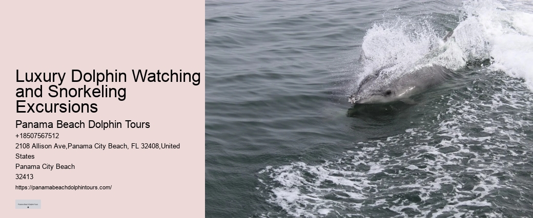 Are Dolphins Naturally Friendly Toward Humans If So