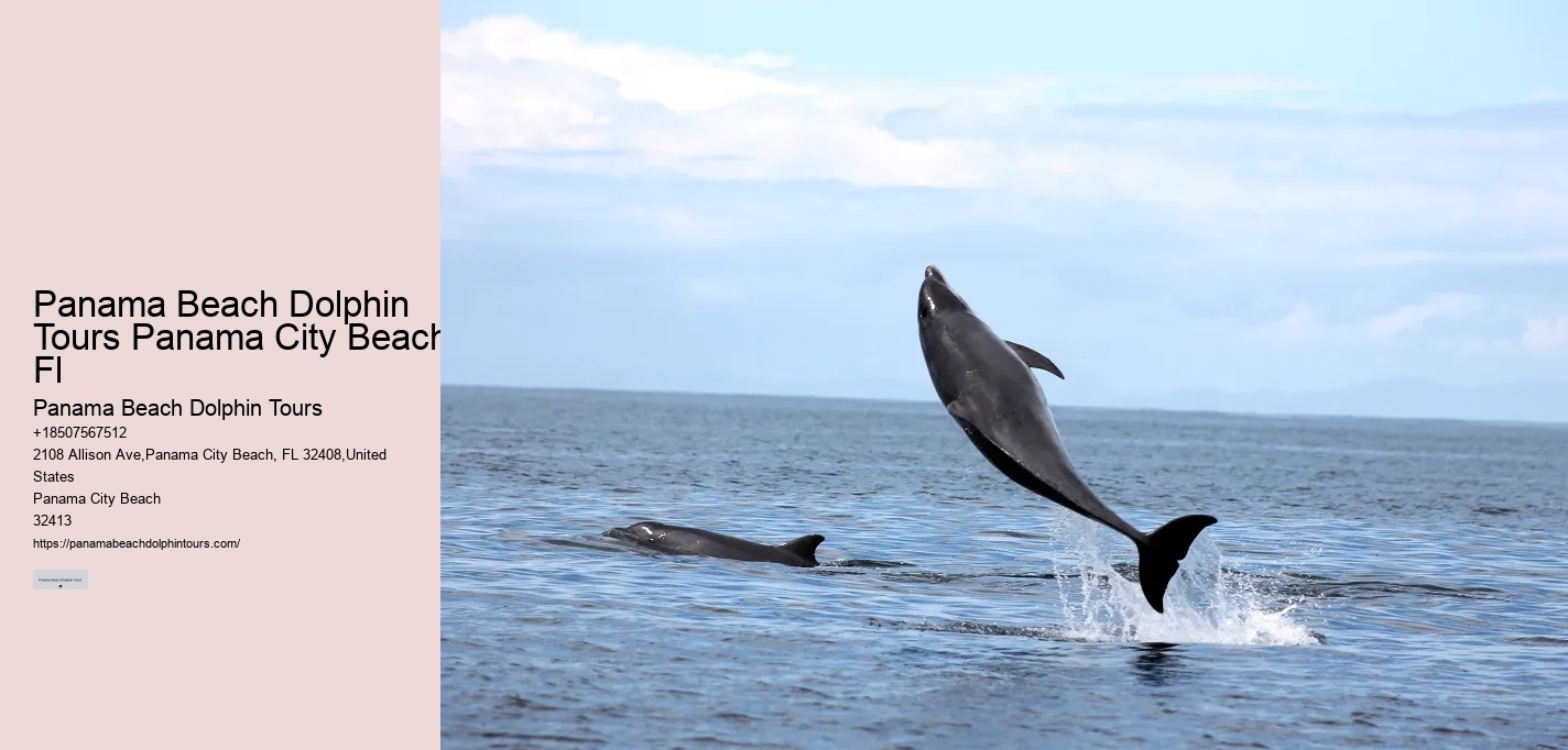 Screamer Boat Tours