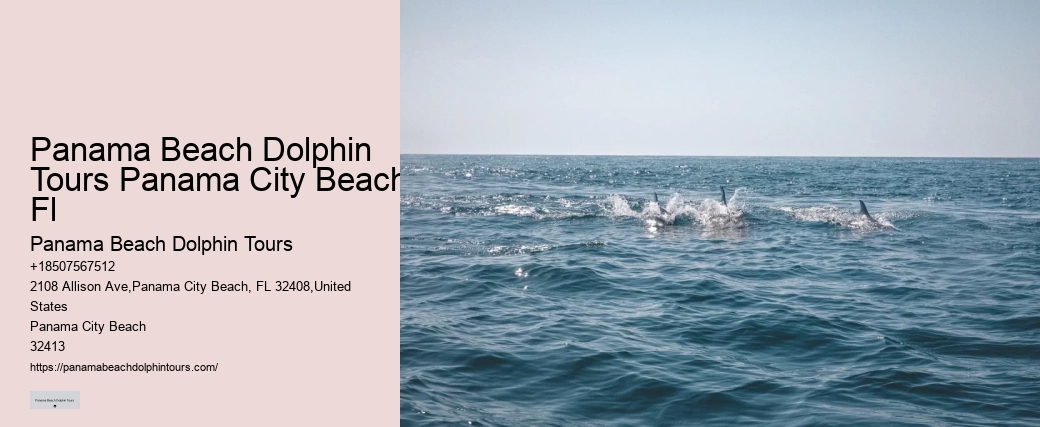 What Is The Dolphin Capital Of The World