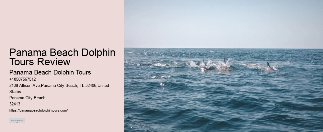 Why Do Dolphins Like Humans