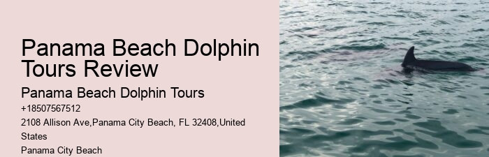 Dolphin 5 Sentences