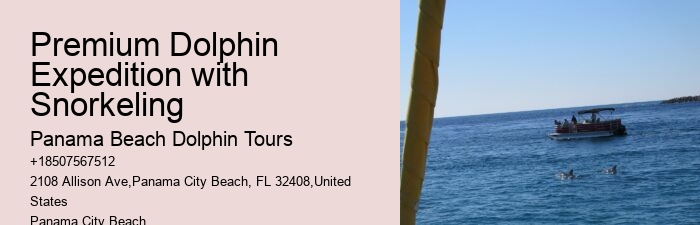 Top Dolphin Tour