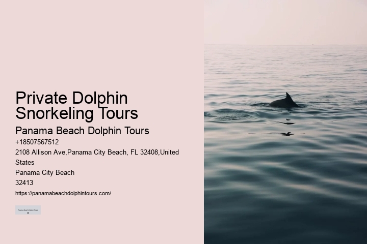 Best Places To See Wild Dolphins