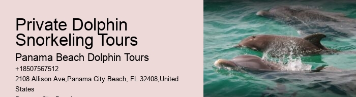 Split Memorable Dolphin And Snorkeling Adventures