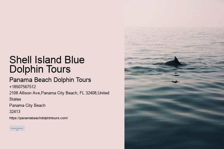 Swimming With Captive Dolphins