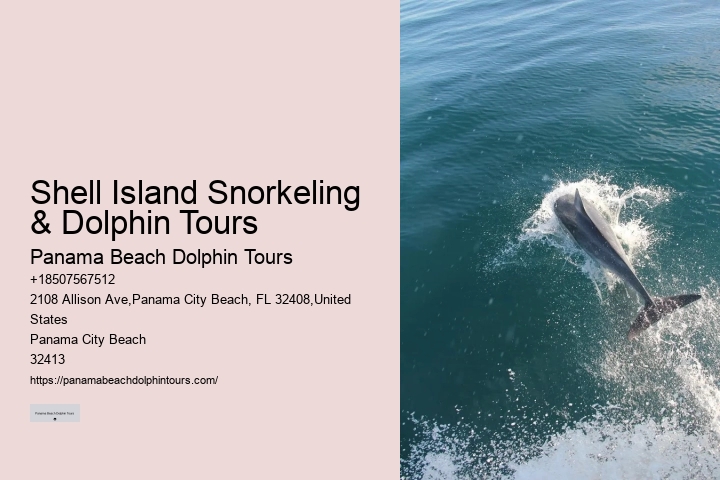 Is It Ethical To Swim With Dolphins