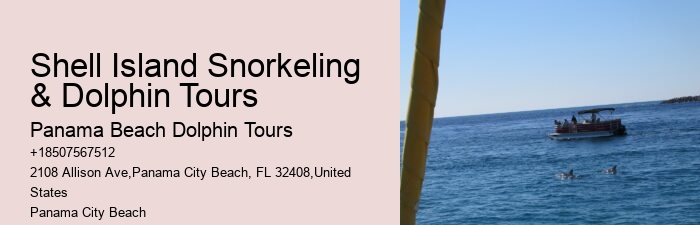 Dolphin Sightseeing Tours