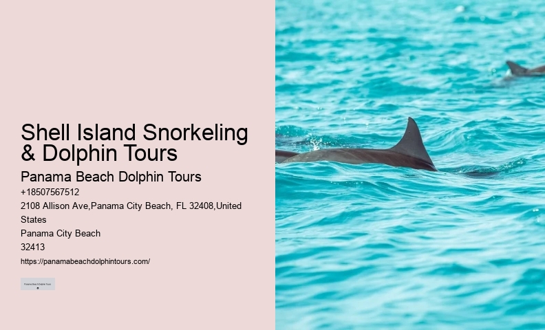 Best Dolphin Tours Panama City Beach