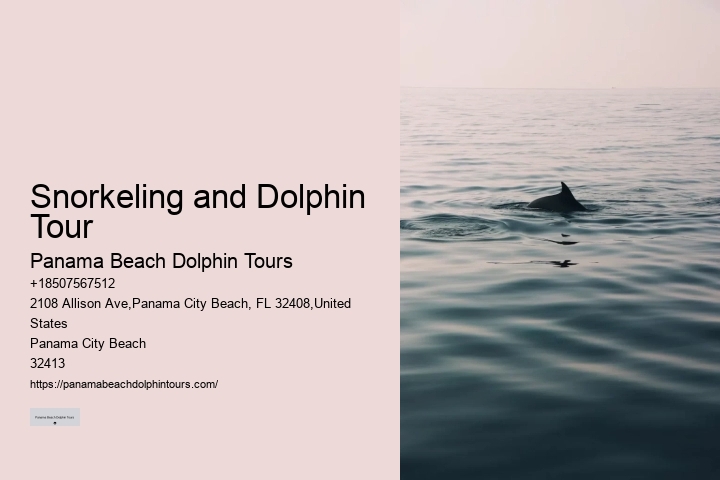 Split Catamaran Tours For Dolphin Watching And Snorkeling