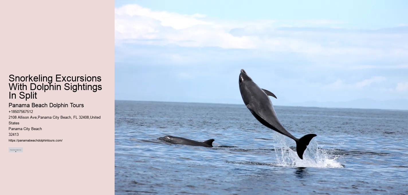 Do Dolphins Befriend Humans