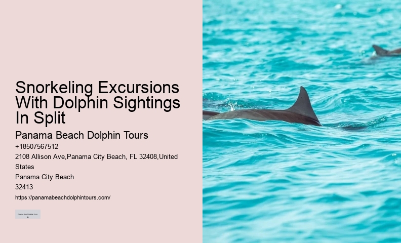 Panama Beach Dolphin Tours