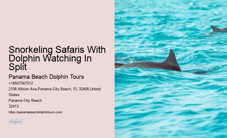 Panama City Beach dolphin exploration voyages