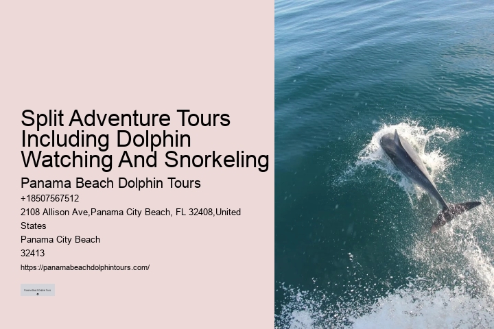 Salty Mary Dolphin And Snorkel Tours