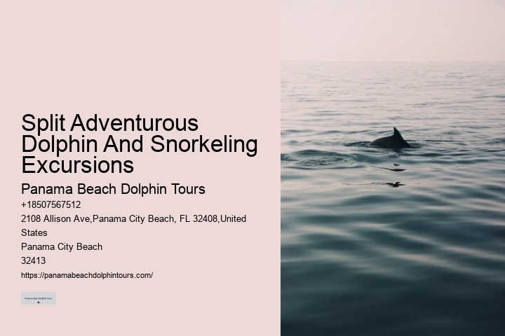 Split Exclusive Snorkeling And Dolphin Charters