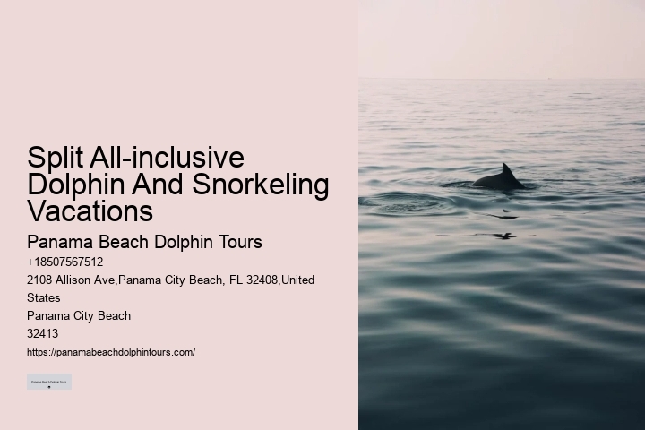 Split Ultimate Dolphin And Snorkeling Expeditions