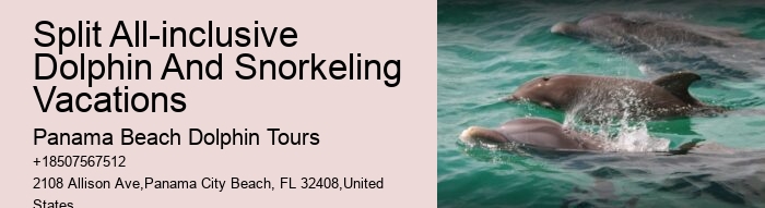 Snorkeling With Dolphins Near Me