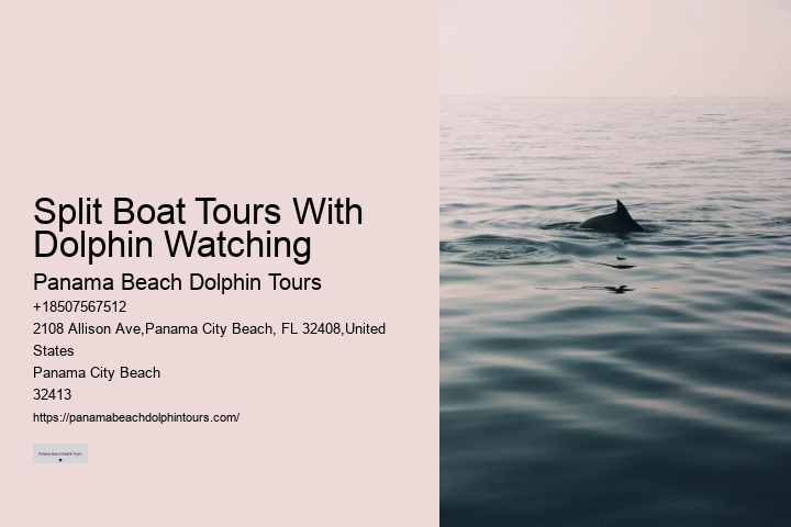 City Beach Dolphin Tours