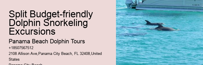 Panama City Beach dolphin watching voyages