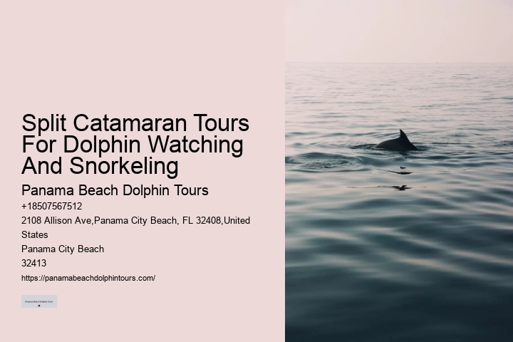 Can I take photos during the dolphin tour in Panama City Beach