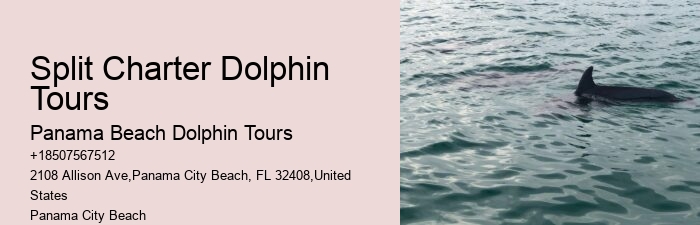 Boat Tours