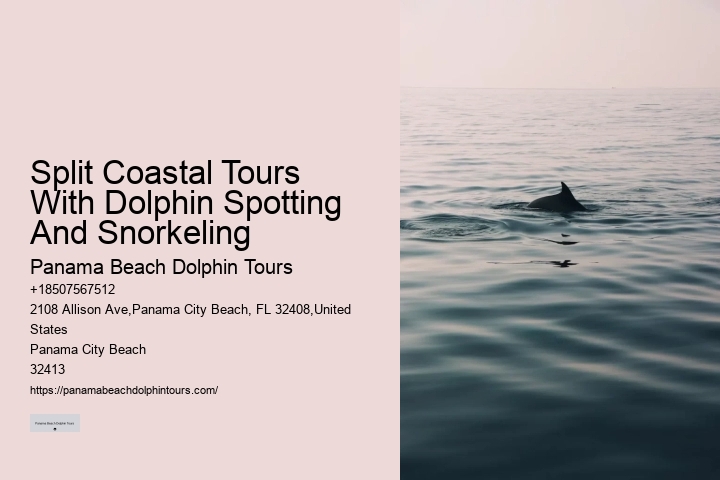 Can I request a specific guide for my dolphin tour
